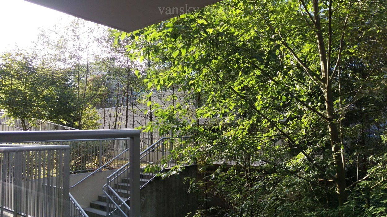 220309130432_003-9288 08.jpg